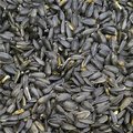 Prince Wild Bird Seed Prince Wild Bird Seed 111656 50 lbs Black Oil Sunflower for Wild Bird Feed 111656